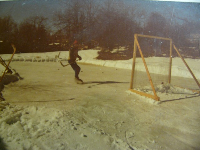backyard rink